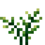 Bay Leaves
