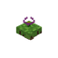 Floating Hellebore