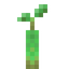 Mangrove Propagule