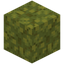 Lush Sponge