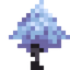 Northland Sapling