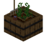 Farm