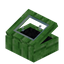 Black Green Bioshroom Display Case