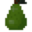 Pear Fruit