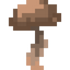 Button Brown Mushroom