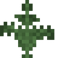 Fern