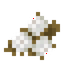 Cotton