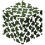 Birch Leaves