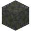 Trodden Mossy Stone Bricks
