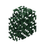 Fir Hedge