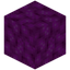 Bubble Coral Block