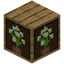 Botanical Oak Large Bookshelf