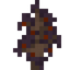 Copper Beech Sapling