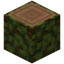 Overgrown Jungle Log