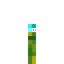 Melon Soul Torch