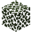 Birch Leaves