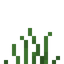 Steppe Tall Grass