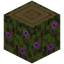 Flowering Oak Log