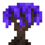 Pream Sapling