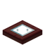 Windowed Mangrove Trapdoor