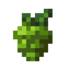 Hops