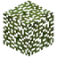 Bull Pine Leaves