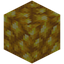 Block of Raw Gold
