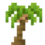 Palm Sapling