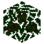 Cherry Fruit Leaves