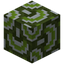 Waved Green Glazed Terracotta
