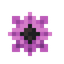 Anemone