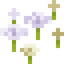 White Sakura Petals