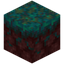 Warped Nylium