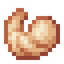 Cooked Shrimp