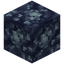 Block of Raw Kyanite