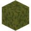 Wet Sponge