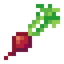 Radish
