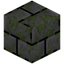 Dark Mossy Stone Bricks