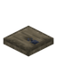 Fir Trapdoor