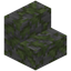 Mossy Stone Stairs