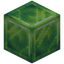 Block of Experience
