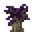 Purple Crepe Myrtle Sapling