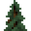 Spruce Shrub