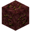 Nether Bornite Ore