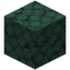 Trodden Dark Prismarine