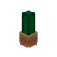 Cactus Desert Pot