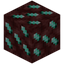 Nether Turquoise Ore