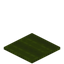 Rectangle Green Carpet