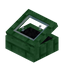 Black Green Enchanted Display Case