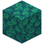 Bubbling Warped Wart Block